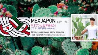 Mexjapon 第49話 サボテンは世界を救う ゲスト 堀部貴紀 中部大学 応用生物学部 サボテン研究室 Youtube Mexjapon 第49話 サボテンは世界を救う ゲスト 堀部貴紀 中部大学 応用生物学部 サボテン研究室 Youtube