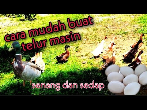 Cara mudah membuat telur masin - YouTube