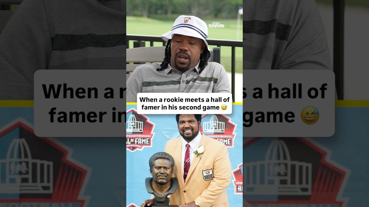 Kung Fu Panda is crazy 😭😭😭 #ravens #steelers #nfl #joeyporter #pittsburghsteelers
