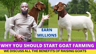 10 Reasons Why You Should Start a GOAT Farm Today