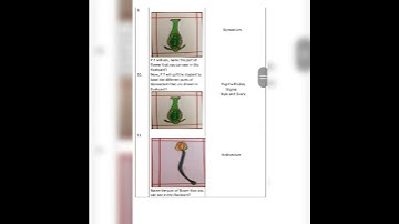 B.Ed. Lesson Plans (Skill of Introducing the lesson) SCIENCE