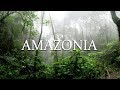 Song for the Amazon Rainforest - Amazonia (Raw Edit )
