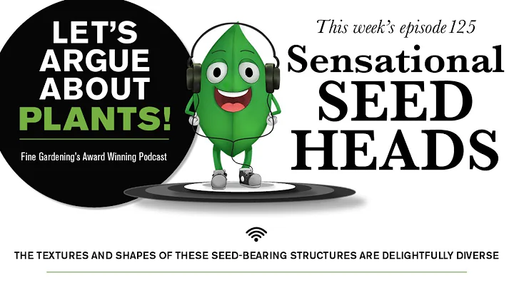 Episode 125: Sensational Seed Heads - DayDayNews