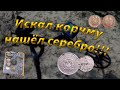 Искал Корчму, нашёл Серебро и Царские монеты!!!