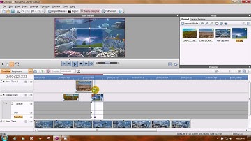 Movie Plus Overlaying Photos