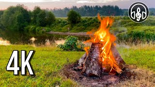 Cozy summer campfire with morning birdsong. 12 hours of 4K video.