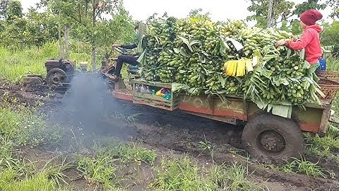 xe công nông 2 cầu chở chuối đây xe  lên dốc cực kỳ khỏe