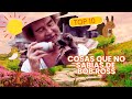 10 cosas que no sabías de Bob Ross