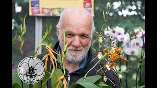 perchè le orchidee non fioriscono,? LE 9 DOMANDE PIU' FREQUENTI, video n° 2 di 9 screenshot 4