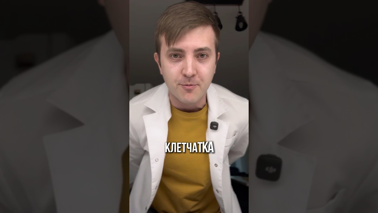 Всё о КЛЕТЧАТКЕ за 2 минуты
