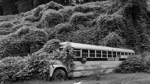 Attack of the Kudzu Vine