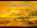 PART 1 Bemiḏbar Numbers 25v10 29v40 – Pineḥas – Mouth of brass