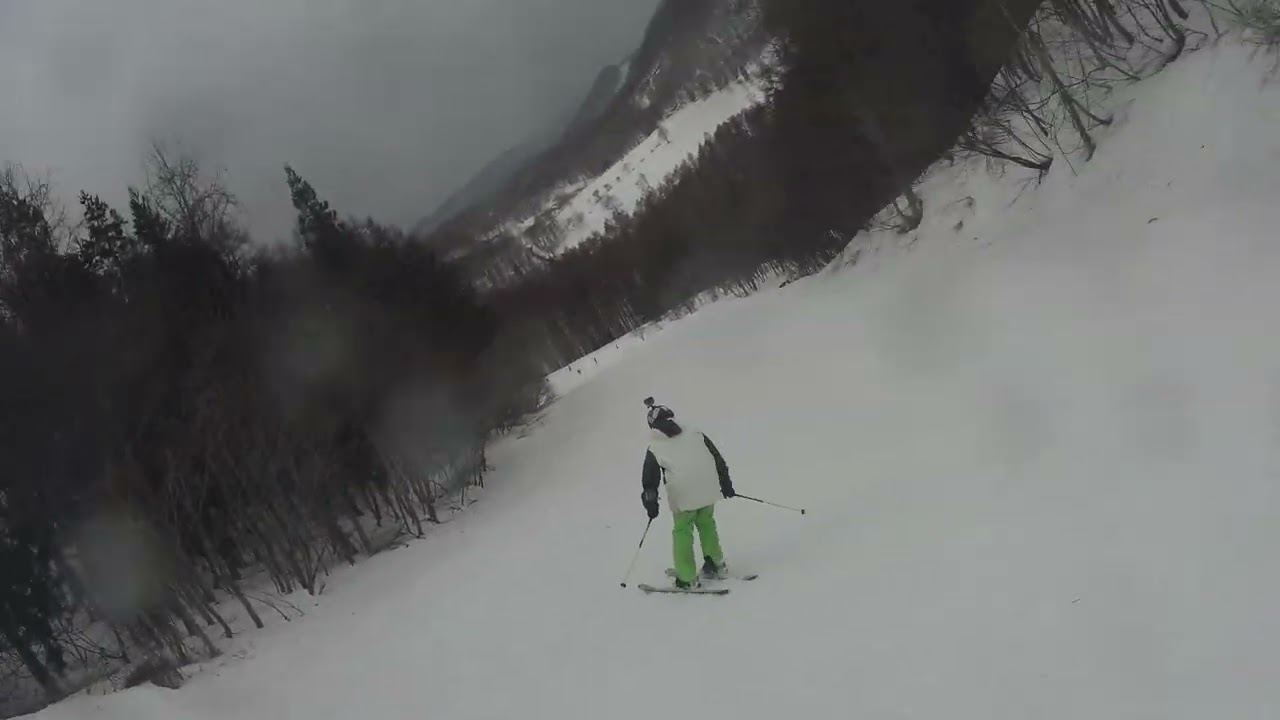 20260228ほうだいぎTN1