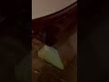 Why not a cold start vid #fy #fyp #biral #cartiktok #sti520... #Shorts #kproject520