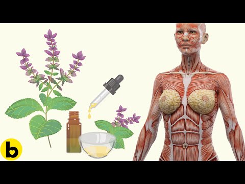 13 Amazing Sage Oil Health Benefits That Can Change Your Life