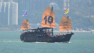 M/V AQUALUNA II 大張保 (Chinese Junk) x Save The Duck dog advertising