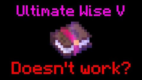 The Admins BROKE Ultimate Wise! (Hypixel Skyblock)