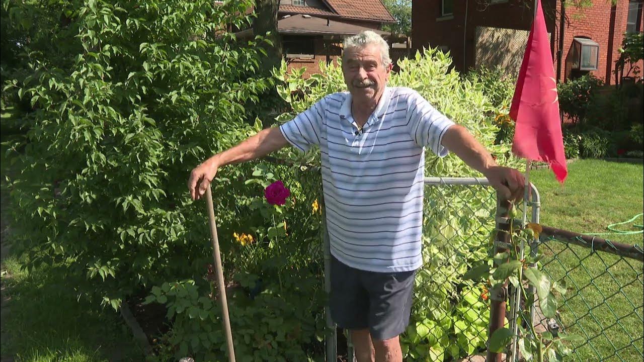 Local gardener plants Windsor alley YouTube