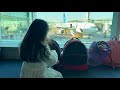 Flying from Turkey to Japan with Our Two Cats | International Move 猫2匹と一緒にトルコから日本へ✈️