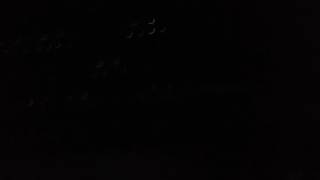 IMG 3597
