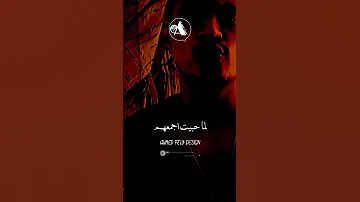 حالة واتس لمة المصالح لما حبيت اجمعهم عمر حفظي اوشا الصغير 