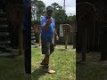 SOG Fling Throwing Knives SOG Pentagon XR and SOG Vision XR Thrown in Board OLD VIDEO