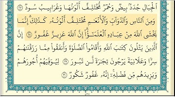 ابراهيم الاخضر سورة فاطر كاملة مكتوبة HD
