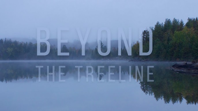 Beyond The Treeline 