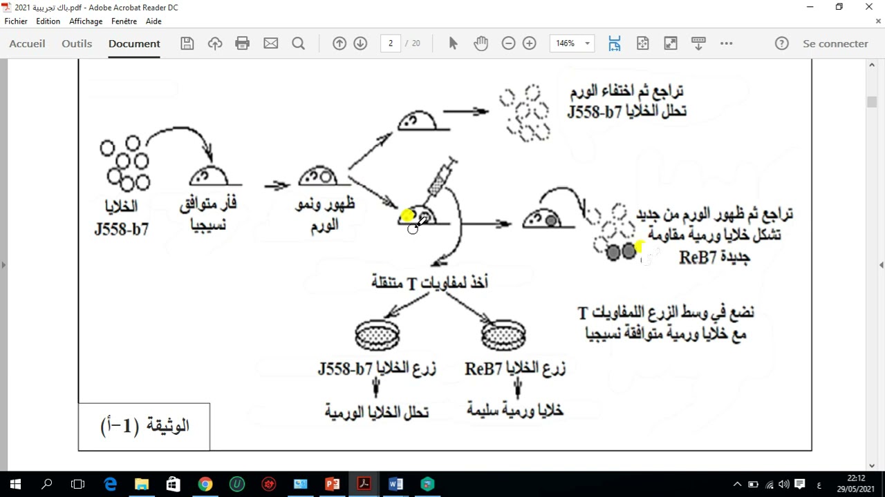 العرض 3 محل التمرين الثاني من الموضوع الاول باك تجريبي 2021ثانوية حباشي