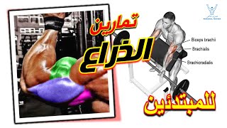 تمارين ذراع كامل ( للمبتدئين )