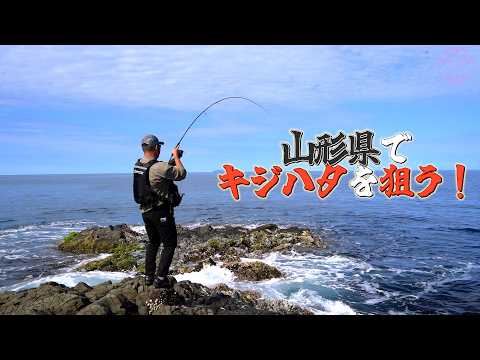 エンジョイソルト - YouTube