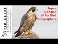 Topaz Denoise AI For Bird Photographers