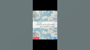 سنريهم آياتنا في الآفاق وفي أنفسهم حتى يتبين لهم أنه الحق 
