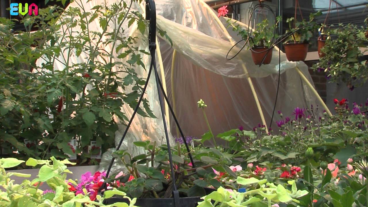 plantenverkoop vosheuvel