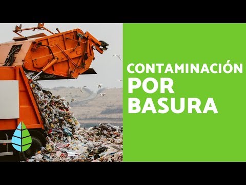 Video: ¿Cuál es el tipo de basura más común en el océano?