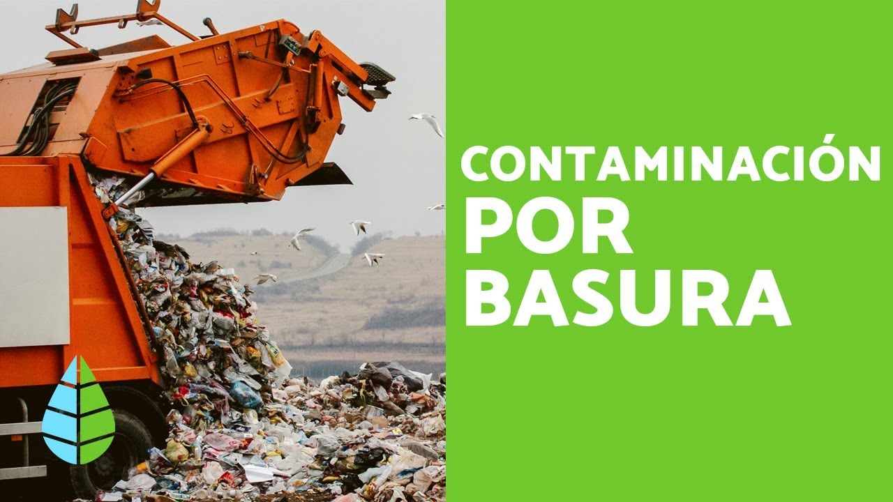 BASURA y RESIDUOS - CONTAMINACIÓN por BASURA: CAUSAS y CONSECUENCIAS -  thptnganamst.edu.vn