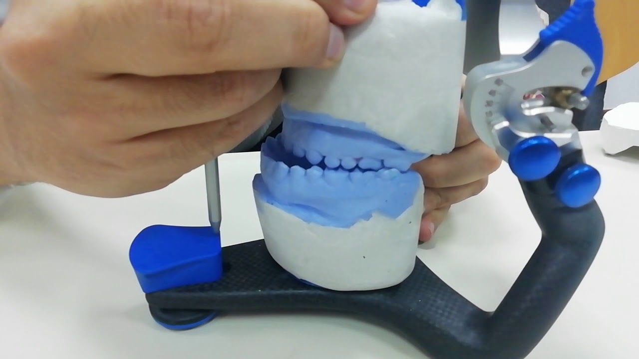 Mandibular movements on Articulator YouTube