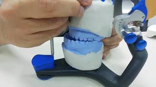 Mandibular movements on Articulator