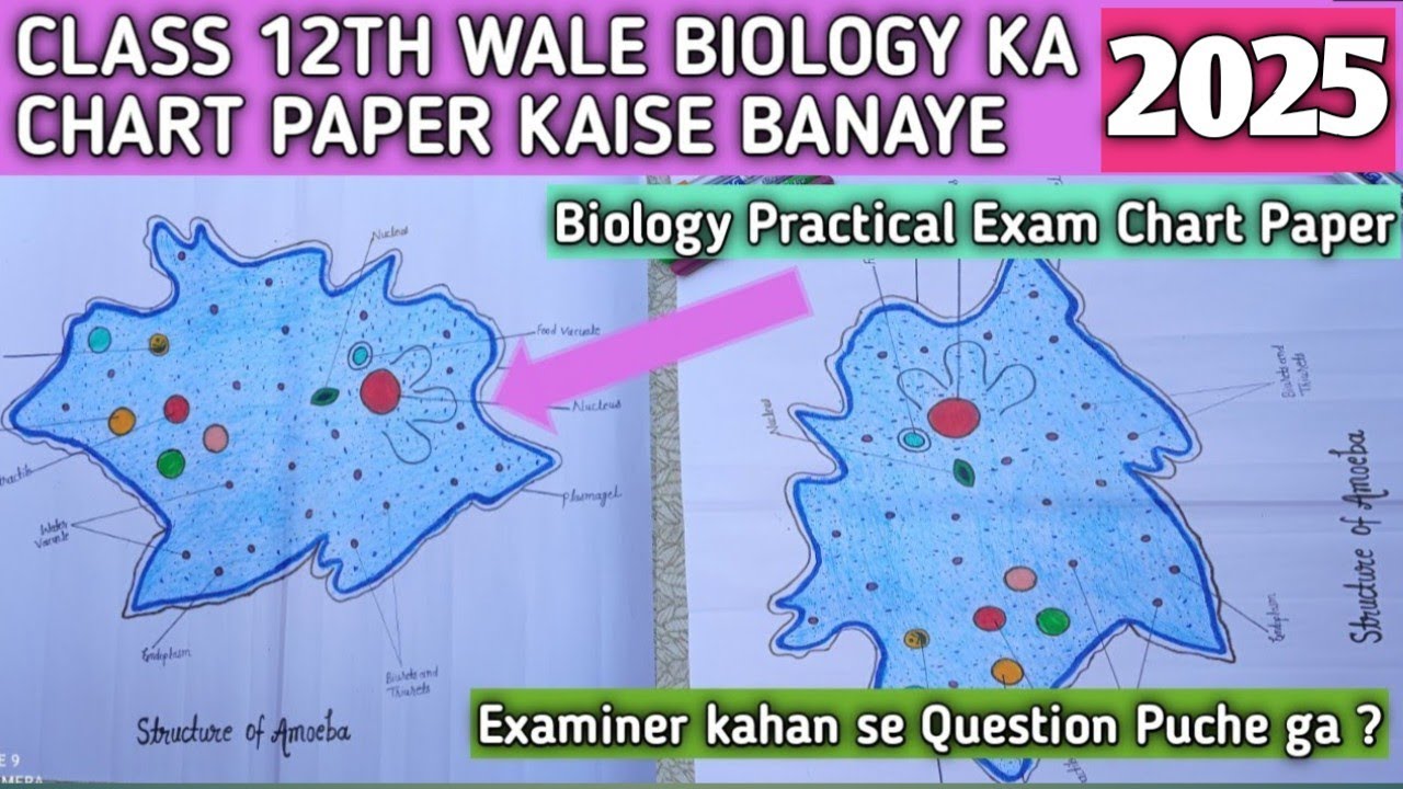 biology ka project kaise banaye