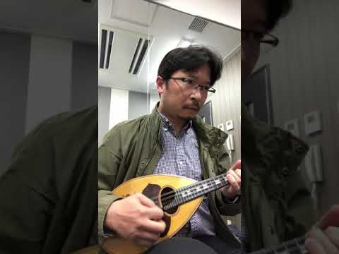 ああ電子戦隊デンジマン マンドリン mandolin