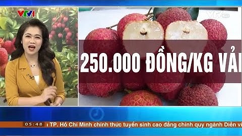 Mô hình sản xuất thành công Cây Vải Không hạt tại Thanh Hóa - 097.868.7171 #fruit  #youtube