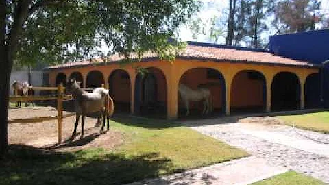 Omar Soto El Corrido de Valeriano Alfaro