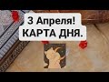 3 Апреля!🔮 КАРТА ДНЯ. Таро расклад.