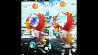 Steel Wing/Brave Bird Shadow Ho-Oh Duo Raid With Primal Kyogre and Electrics types (NWB)