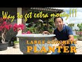 Large concrete planter  way to make some extra money
