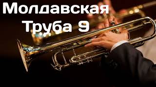 Молдавская Труба 9