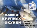 Нашли крупных окуней. Малый Чан ноябрь 2021