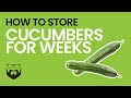 How to Store Cucumbers for Weeks