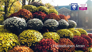 Herfst in de Maasduinen Limburg