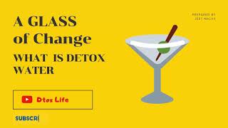 What is Detox Water and Detox Drinks? Easy Detox Drinks and Recipes. screenshot 4